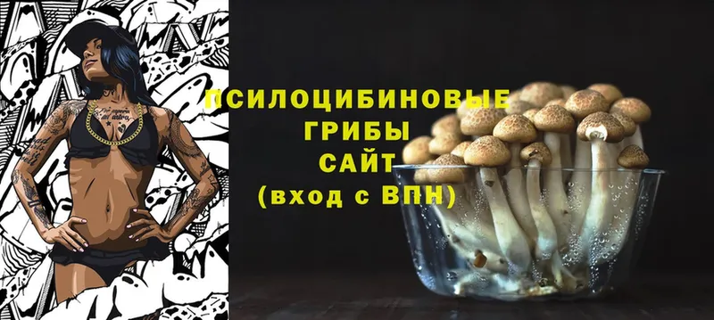 Галлюциногенные грибы Magic Shrooms  Новомосковск 